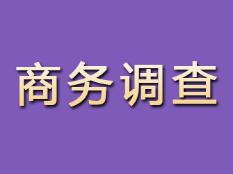 岐山商务调查